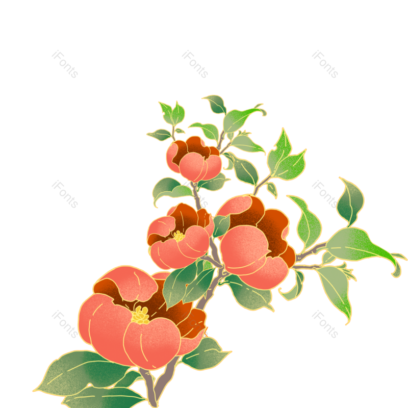玫瑰图片,花朵元素,玫瑰花朵PNG,花朵素材免抠素材